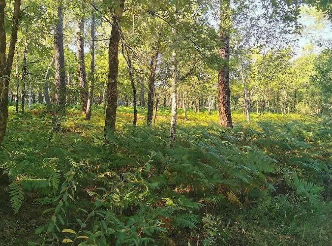 Alloggio in famiglia Indépendante Terre Rouge Martignas-sur-Jalle